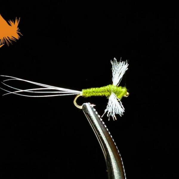 BWO Spinner