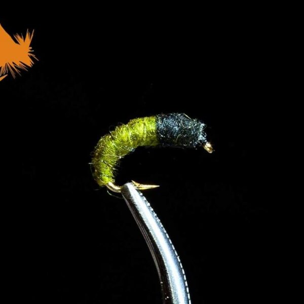 Caddis Larva