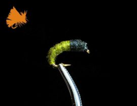 Caddis Larva