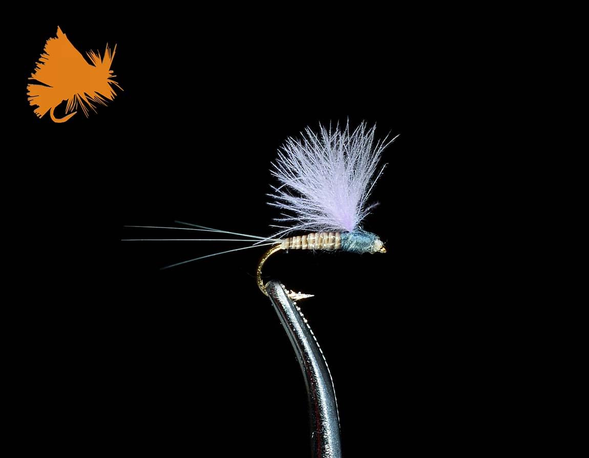 CDC Blue Quill Comparadun 1 CDC Blue Quill Comparadun