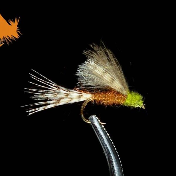 CDC Blue Wing Olive Cripple Emerger