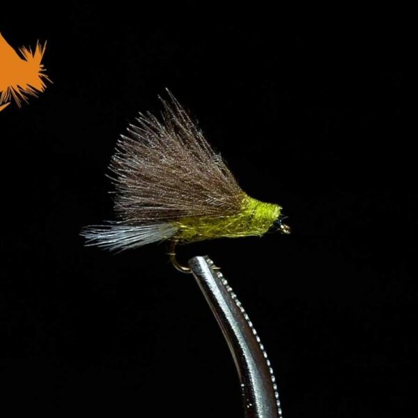 CDC BWO Tailwater Dun