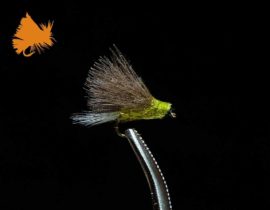 CDC BWO Tailwater Dun