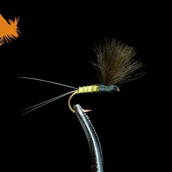 Baetis Student - Baetis, BWO, Green Drake
