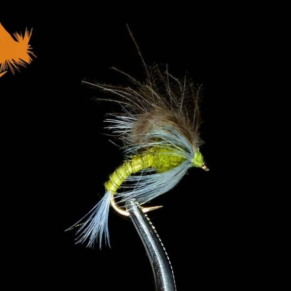 CDC Emerger BWO Loopwing