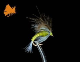 CDC Emerger BWO Loopwing