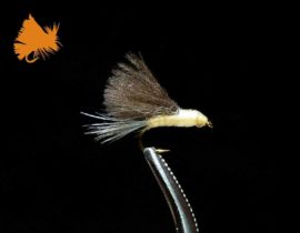 CDC PMD Tailwater Dun