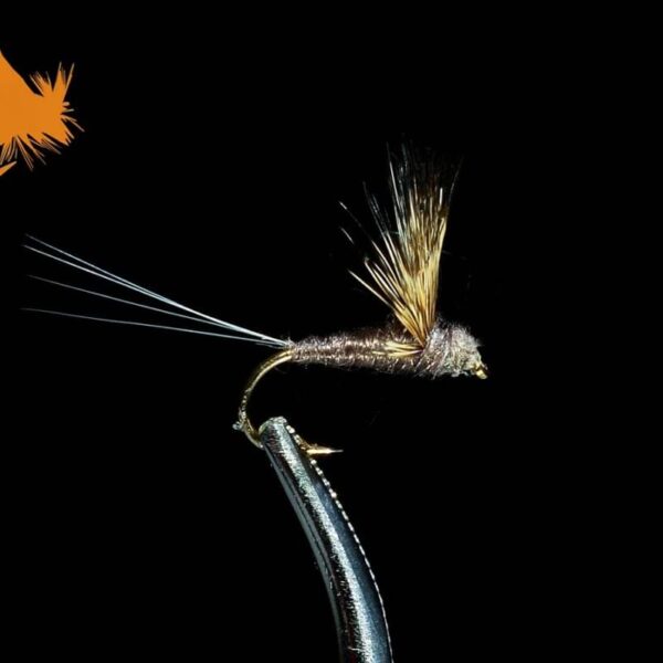 Comparadun Dark Hendrickson