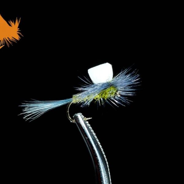 Foam Wing Parachute BWO
