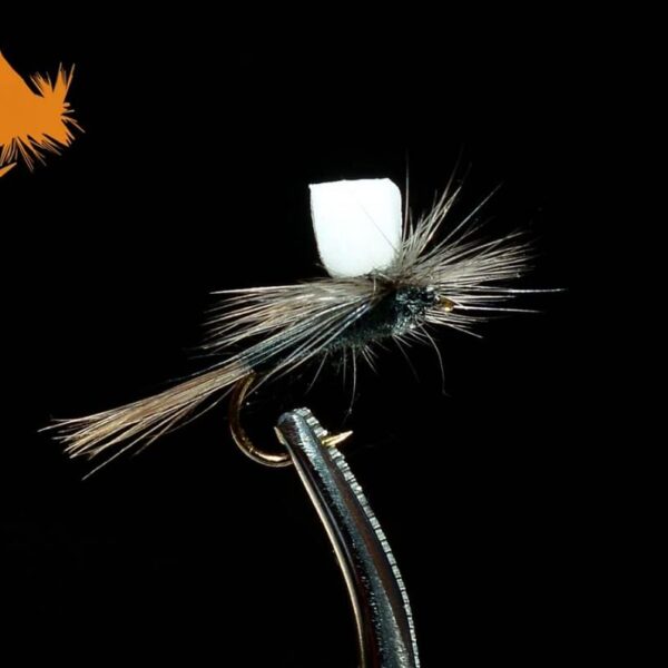 Foam Wing Parachute Trico