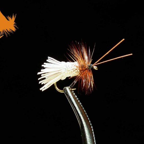 Goddard Caddis