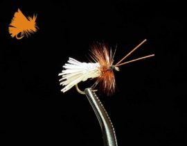 Goddard Caddis