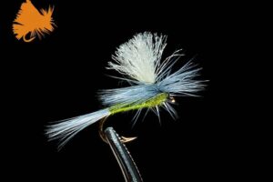 parachute-blue-wing-olive-olive-sku-1075