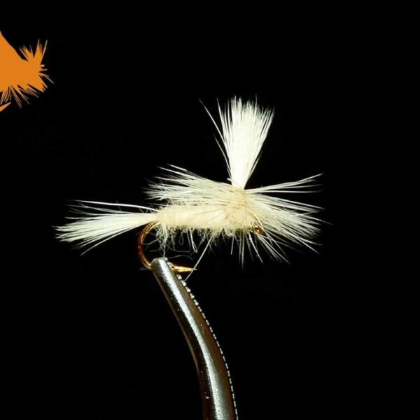 Parachute Cahill Light