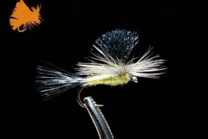 parachute-green-drake-green-sku-1265