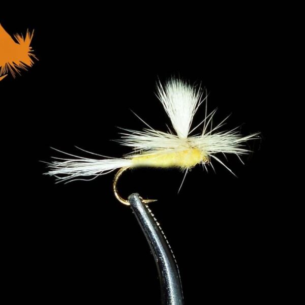 Parachute Pale Morning Dun