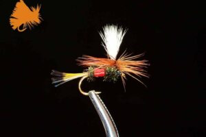 parachute-royal-coachman-royal-sku-156