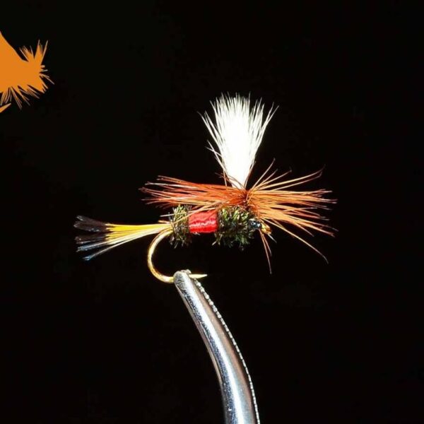 Parachute Royal Coachman