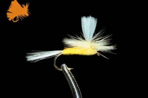 parachute-sulphur-yellow-sku-1268