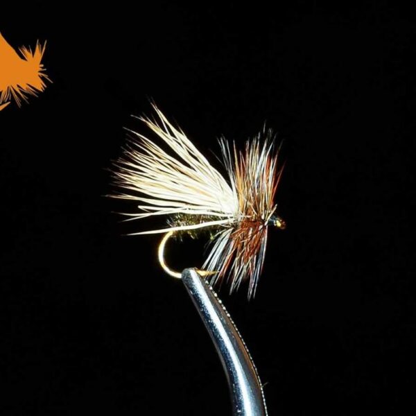 Peacock Caddis