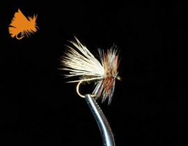 Peacock Caddis