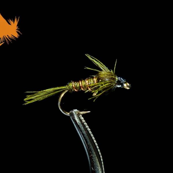 Pheasant Tail