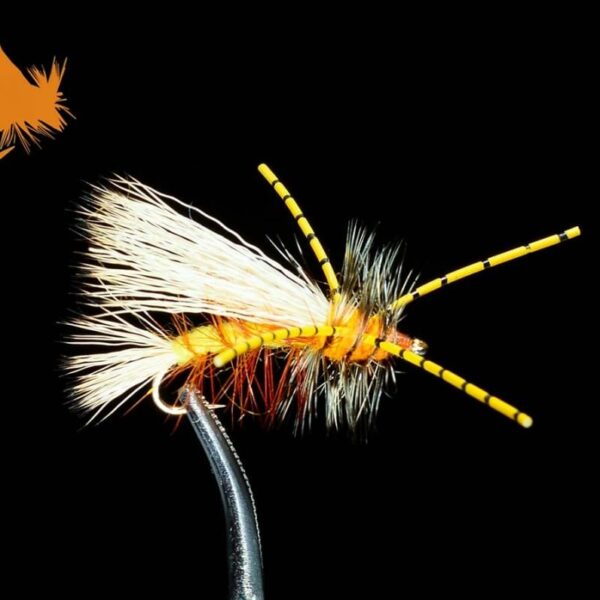 Rubberleg Stimulator