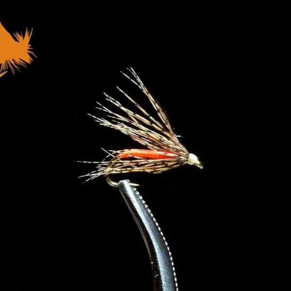 Soft Hackle Attractor Orange