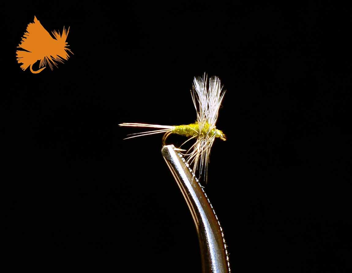 Thorax Blue Wing Olive 1 Thorax Blue Wing Olive