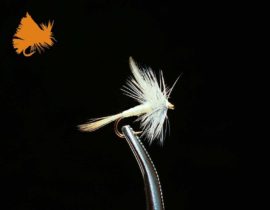 Thorax Pale Morning Dun