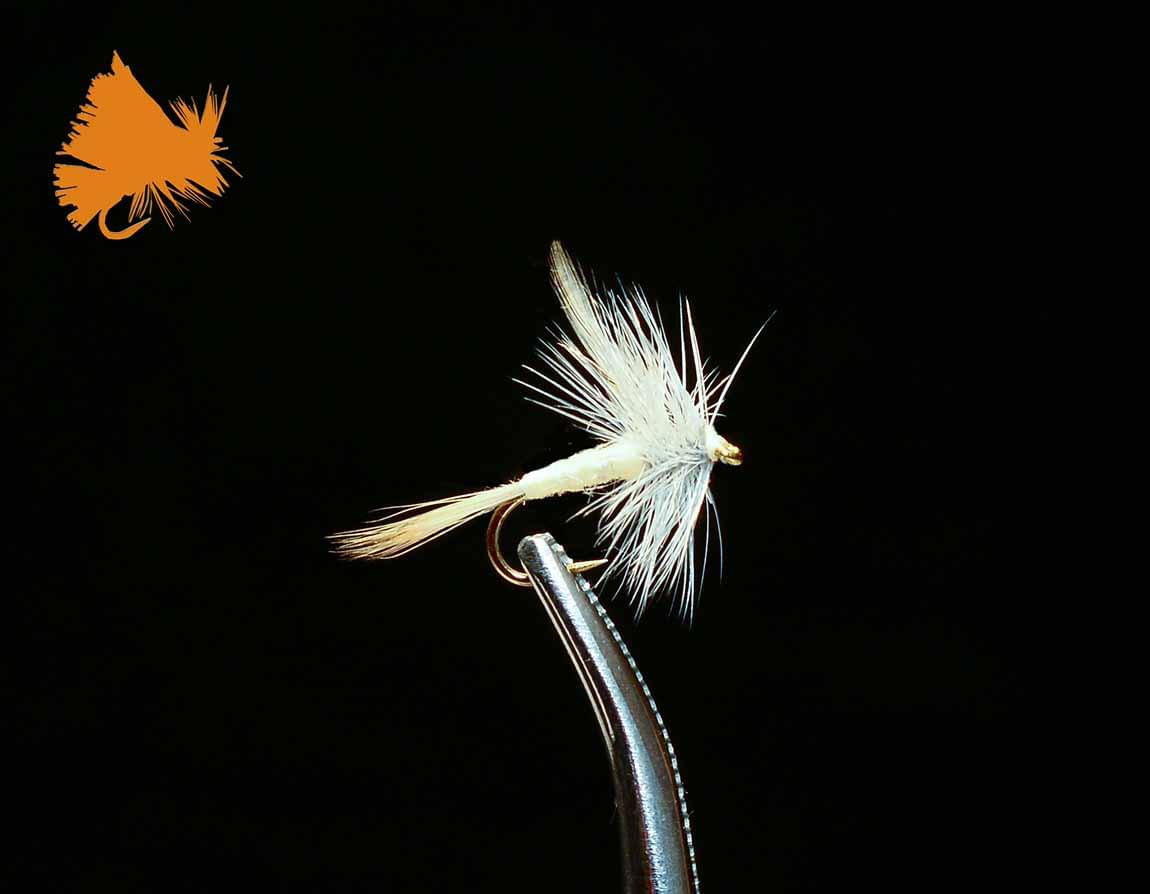 Thorax Pale Morning Dun 1 Thorax Pale Morning Dun