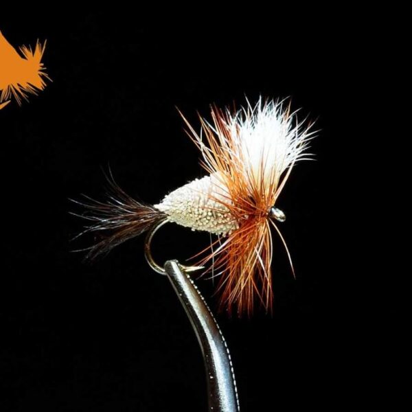 Irresistable Adams - Generic mayfly attractor